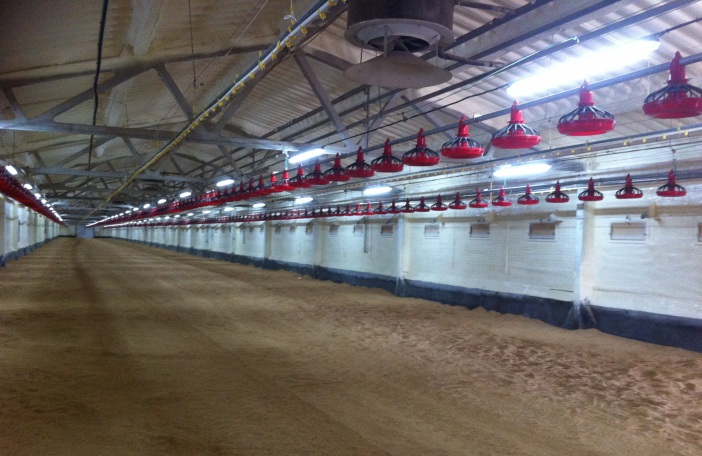 agro industrial